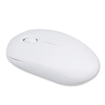 Precautions for the use of the mouse
